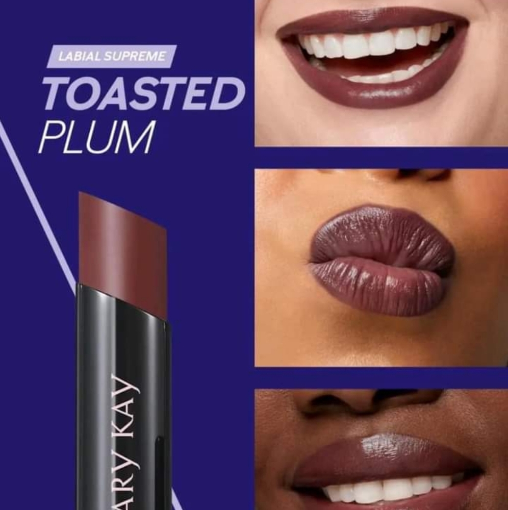 Mary Kay Hydrating Supreme Lipstick Toasted Plum.